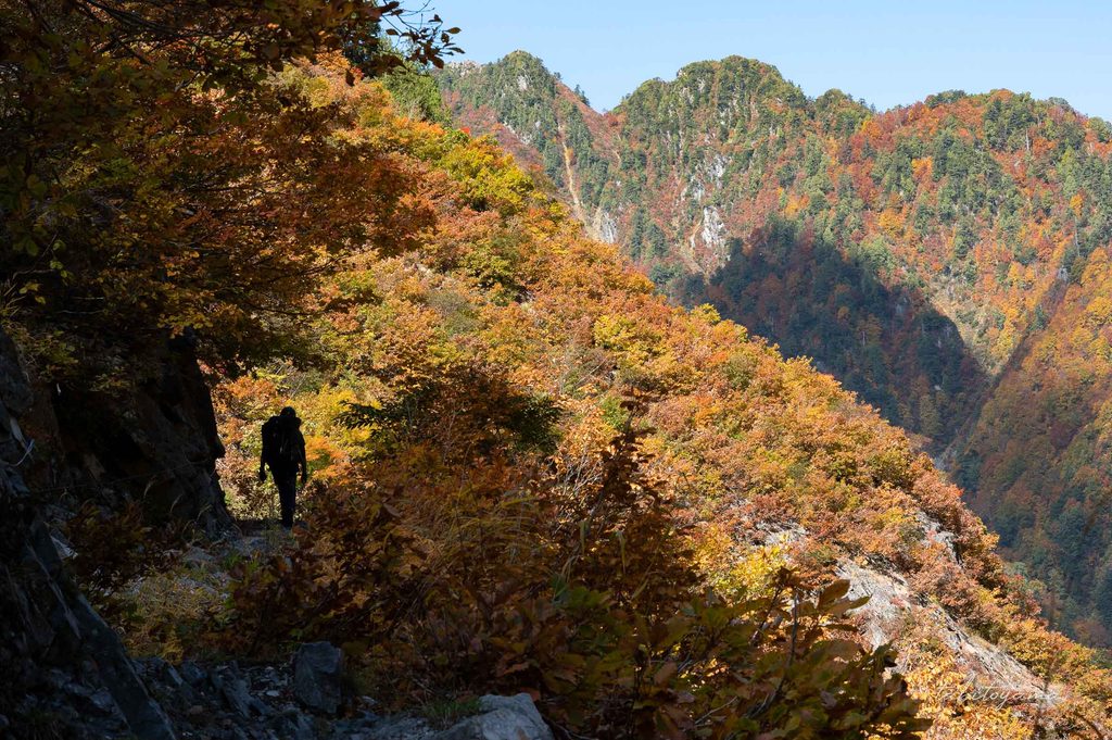 紅葉で色づいた登山道を歩く登山者の影