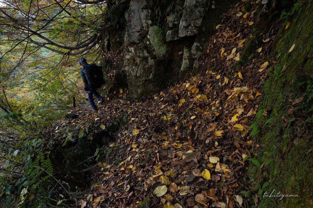 落ち葉で埋まった登山道の下り坂を歩く登山者