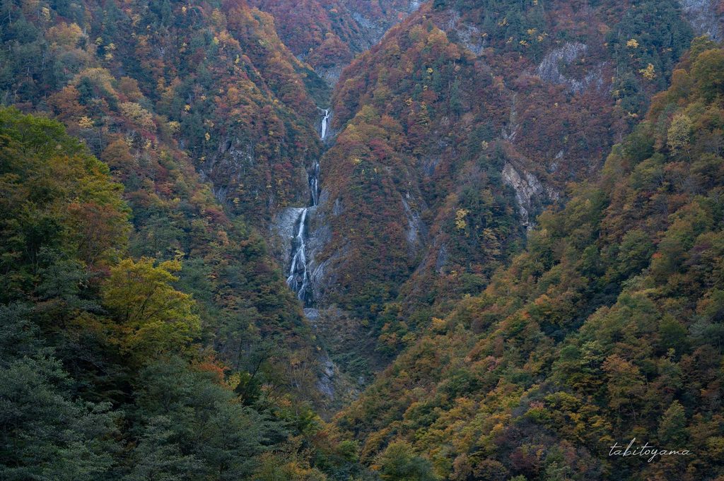 紅葉の色づいた木々に囲まれた細い滝