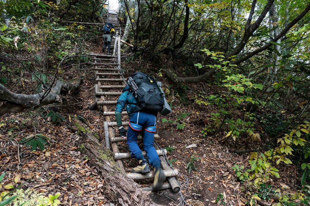 長いハシゴを登る登山者