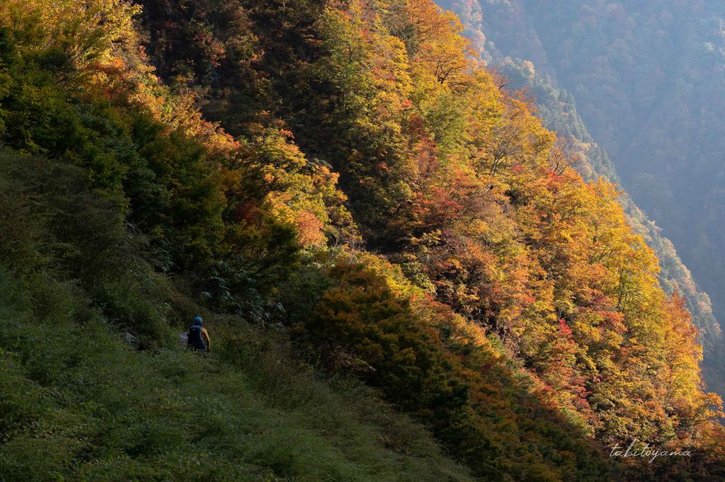 紅葉する山の斜面に日差しが当たる