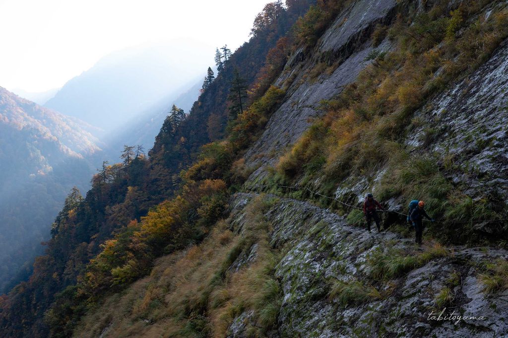 暗い登山道から視界の先に斜めに日差しが入る