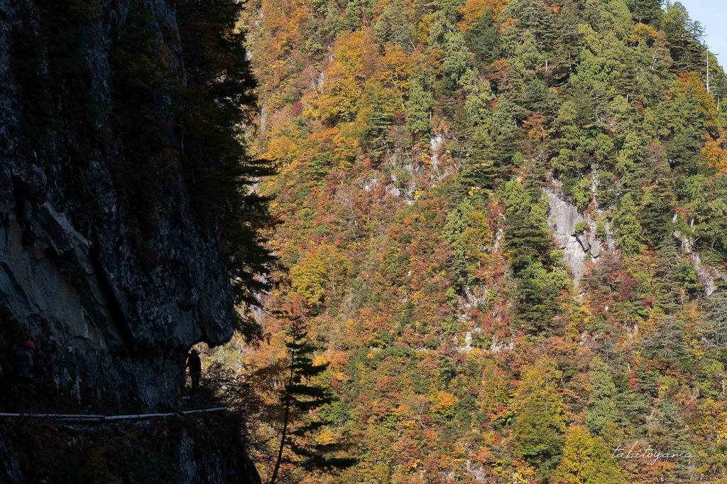 日差しが入らない岩壁を歩く登山者と対岸の明るい紅葉した斜面