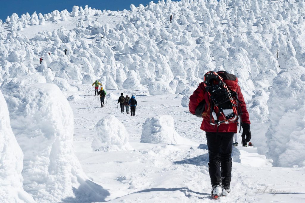 樹氷が密集する稜線を歩く登山者たち