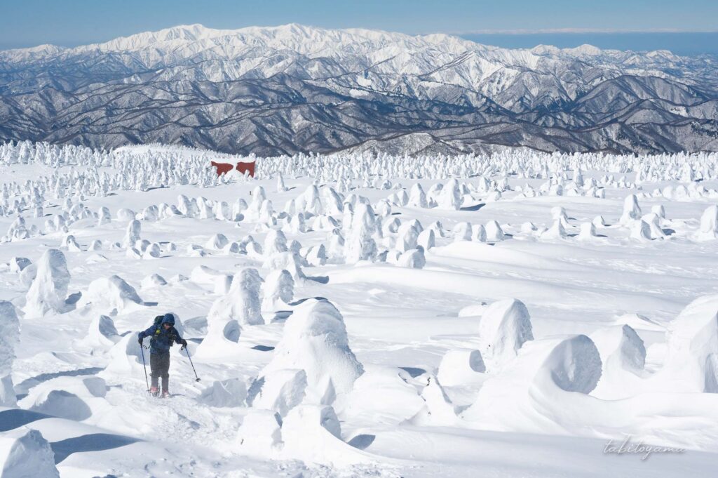 朝日連峰を背景に西吾妻山の樹氷原を歩く登山者