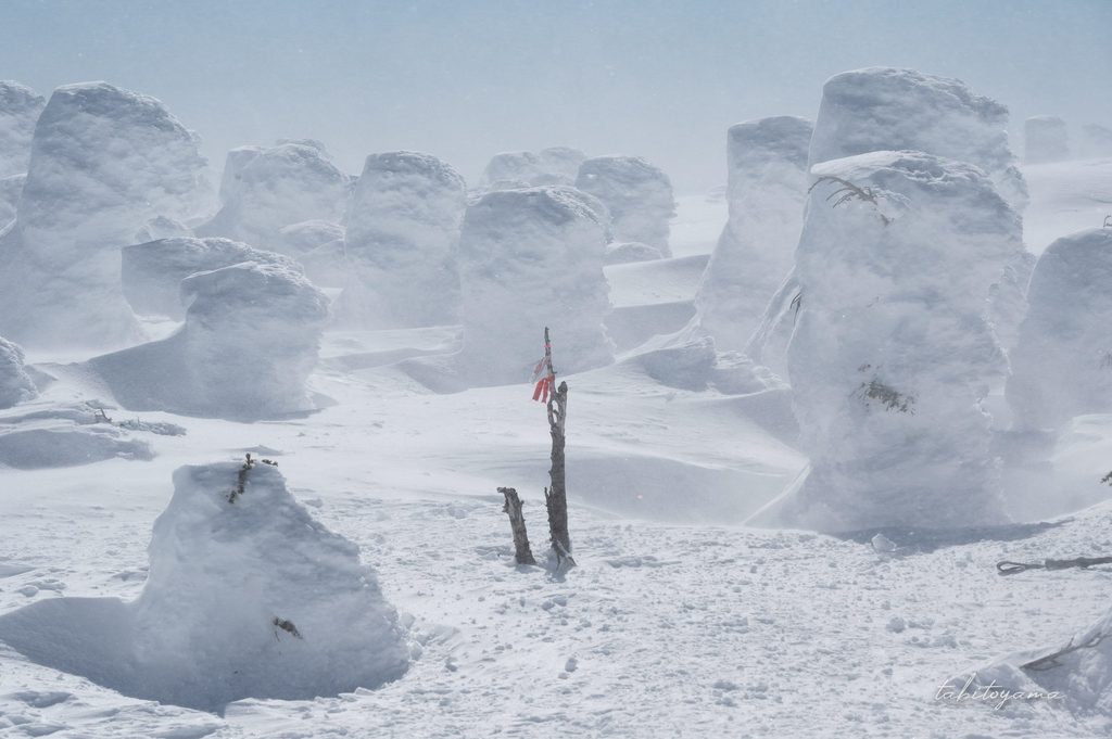 西吾妻山の雪に覆われた山頂に刺さった赤いテープ付きの木の枝