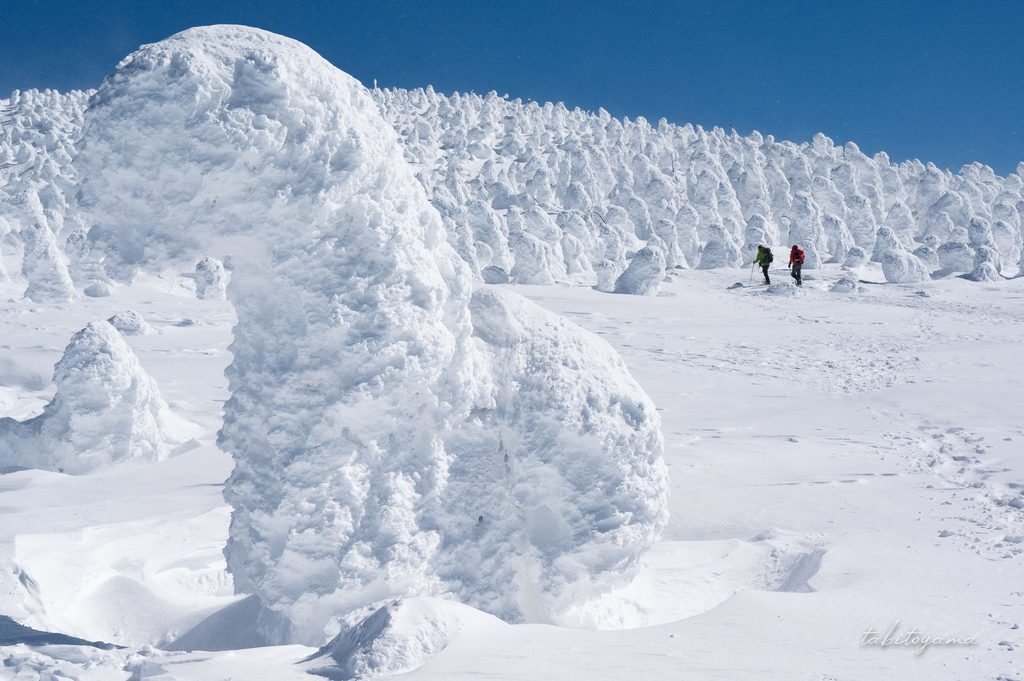 左側に大きな樹氷が立ち、右側の雪原から奥に広がる樹氷原へと向かう登山者たち