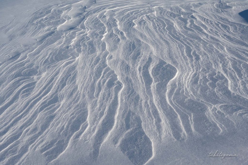 雪原に刻まれたシュカブラ