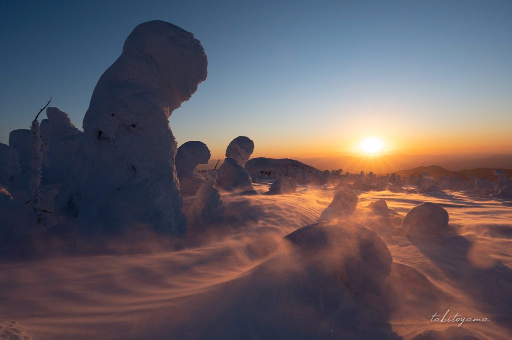 夕日に照らされた雪原に立つ樹氷とそばを通り抜ける雪の舞