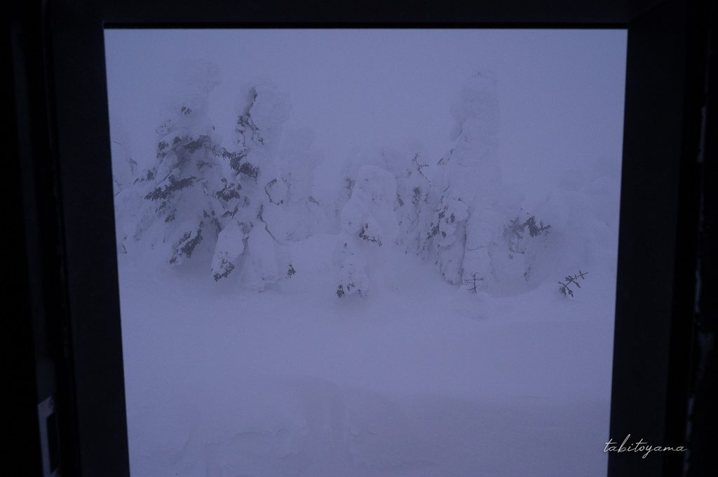 西吾妻避難小屋の中から扉越しに眺める吹雪で視界不良の樹氷原
