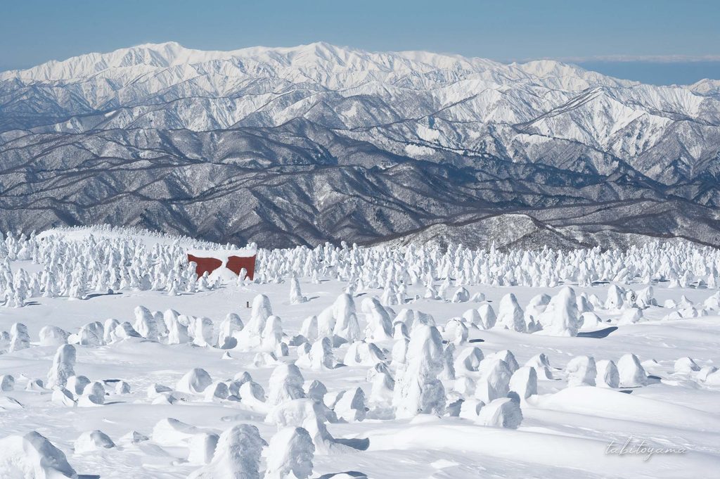 手前には西吾妻山避難小屋周辺に広がる樹氷原と奥には冠雪した朝日連峰