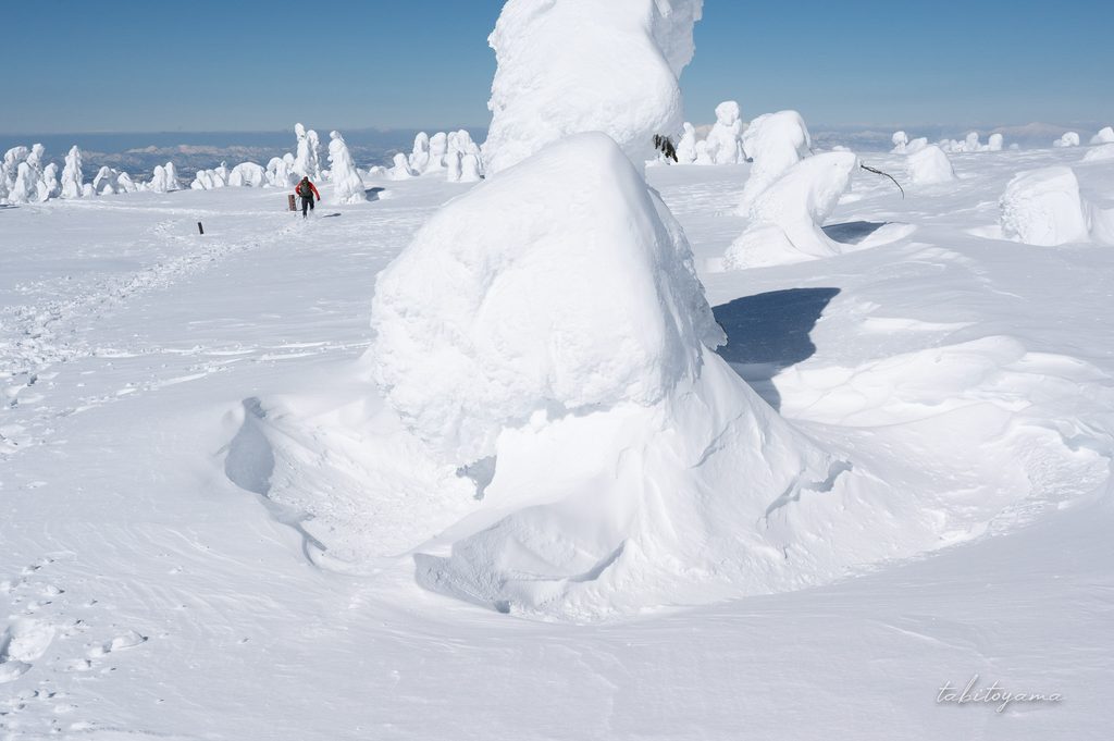 樹氷の根本に広がるツリーホール