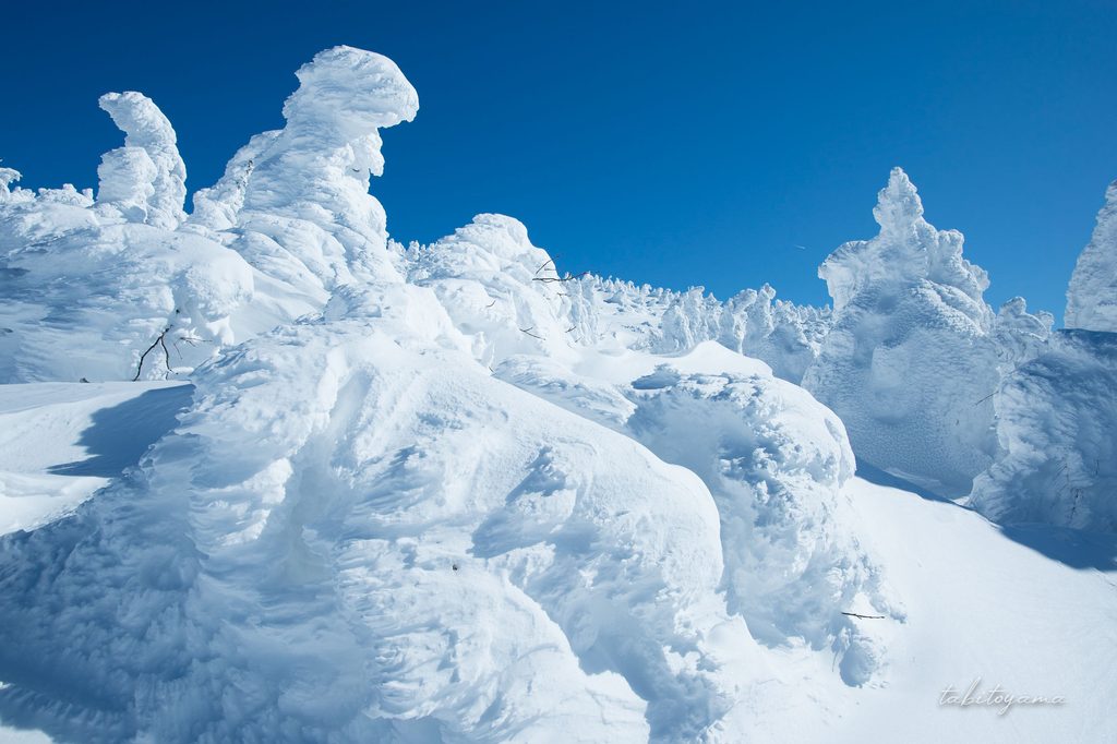 青空の下に大小連なる樹氷群