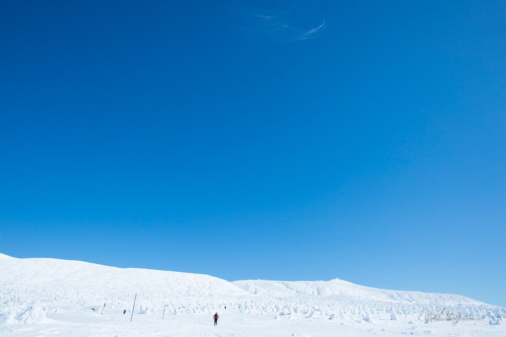青空の下に広がる蔵王の樹氷原を歩く小さな登山者の姿