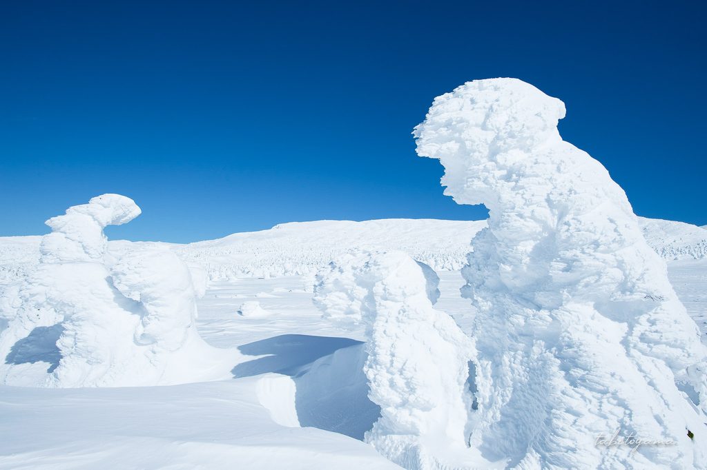 広い雪原の中、左右に立ち並ぶ樹氷