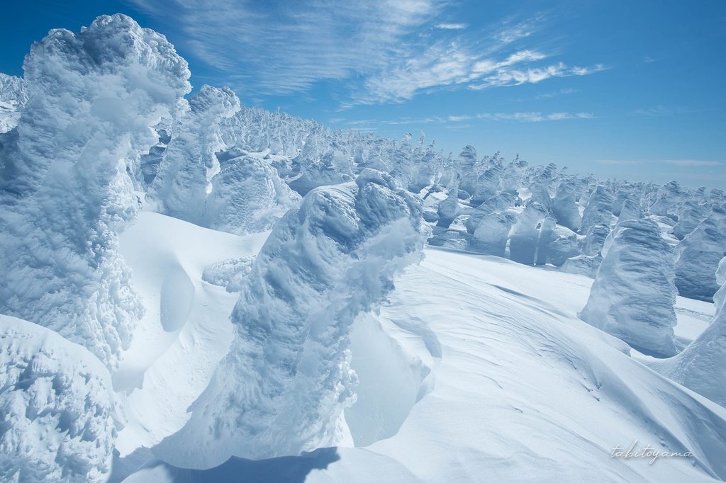 雪の斜面に立ち並ぶ樹氷群