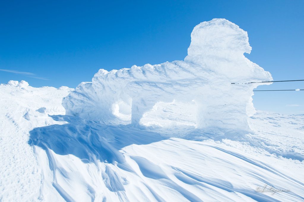 観光リフトのワイヤーに大きく発達した雪の塊
