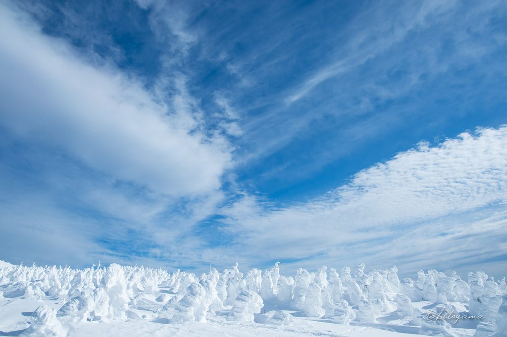 樹氷原の上部に広がる青空と雲